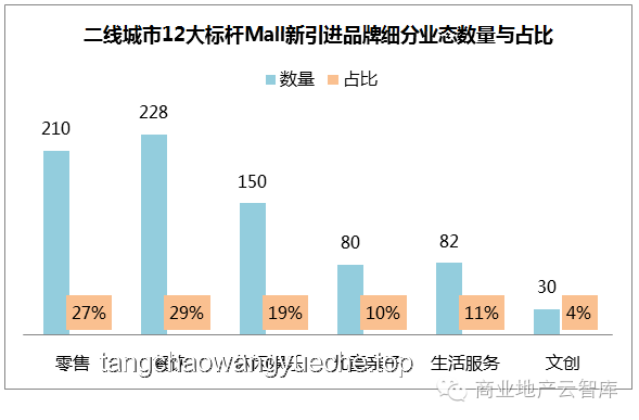 “苏超”火爆现象深度解析：地域文化认同与消费增长新引擎